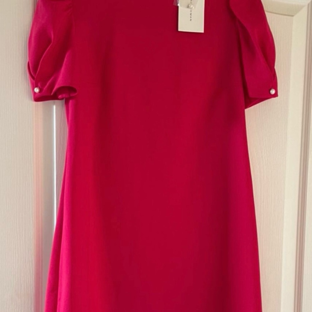 Zara Elegant Pink Dress with pearl sleeves